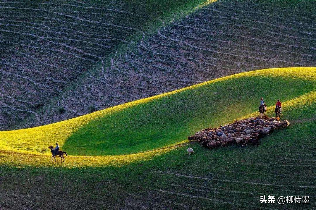 旅拍人像技巧口诀视频,摄影新手入门打卡技巧图片