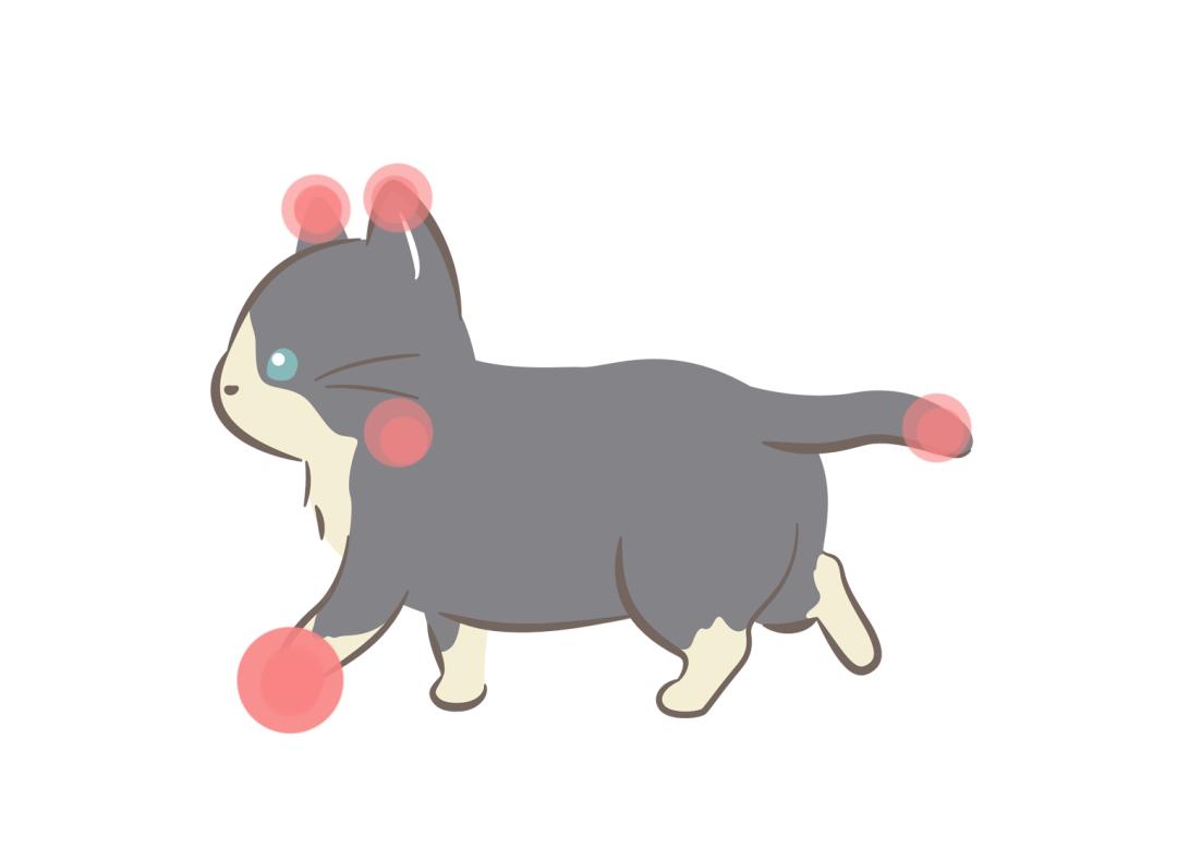 猫咪爪子剪裂开了怎么办,猫咪爪子指甲中间开裂