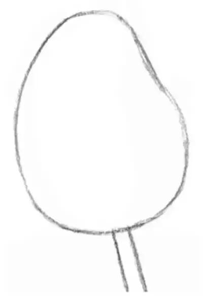 鐜懓绱犳弿鏁欑▼,绱犳弿鐜懓鐢绘硶鏁欑▼