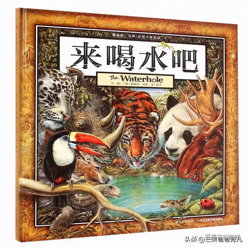 幼儿园教师必读的绘本,适合幼儿教师看的绘本