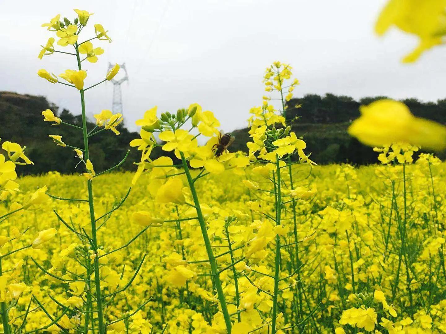 鏁呬埂鏈灏忚,鏁呬埂璁颁簨