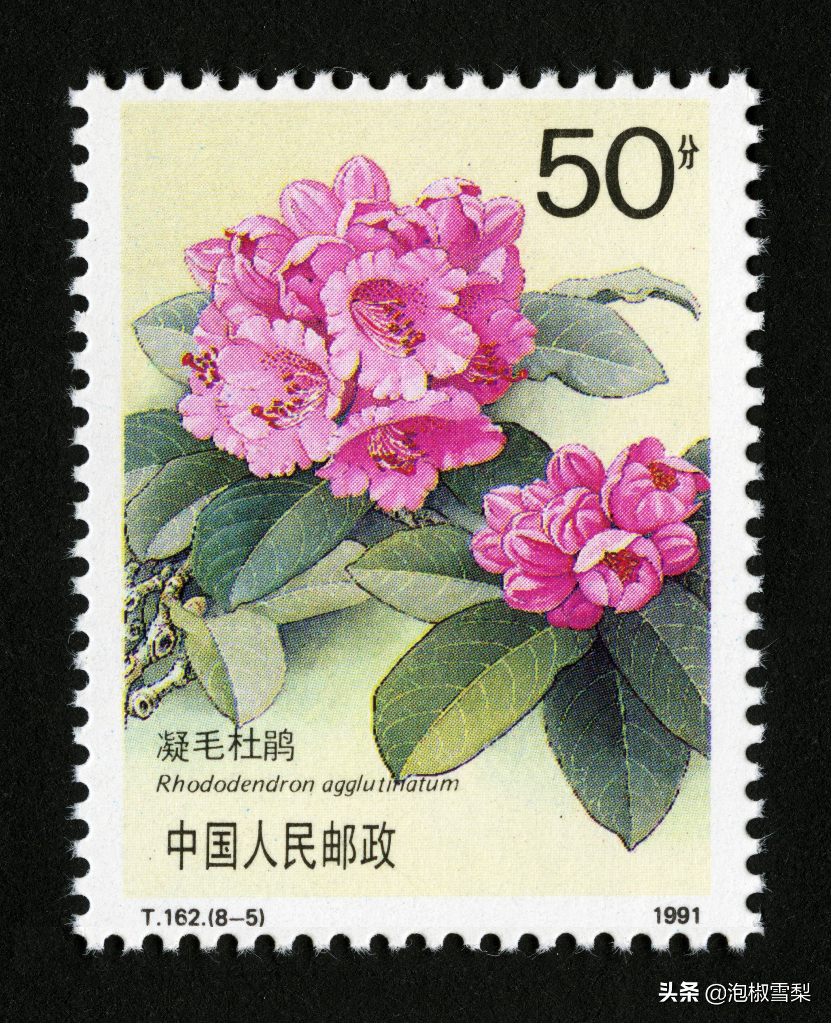 中国1991年发行的全部邮票图片｜陈胜吴广.计划生育.社会主义建设