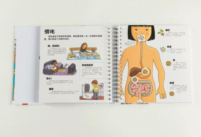 性教育的根本任务是什么,性教育要具体到什么程度