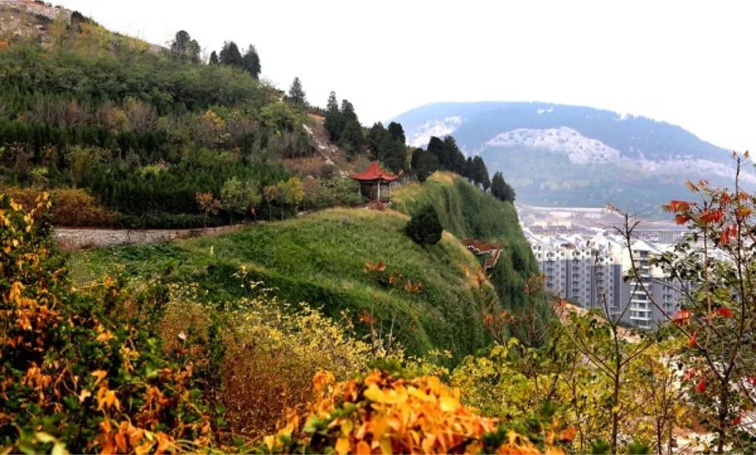 济南适合带娃去的公园,济南适合遛娃的景区