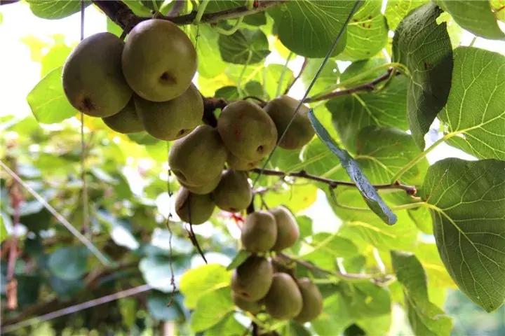 閬傛槍閫傚悎绉嬪ぉ鍘荤殑鍦版柟,閬傛槍鏃呮父缇庢櫙