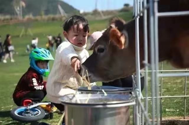 抓住假期的尾巴带上娃来一场露营,假期小尾巴带孩子去哪里玩