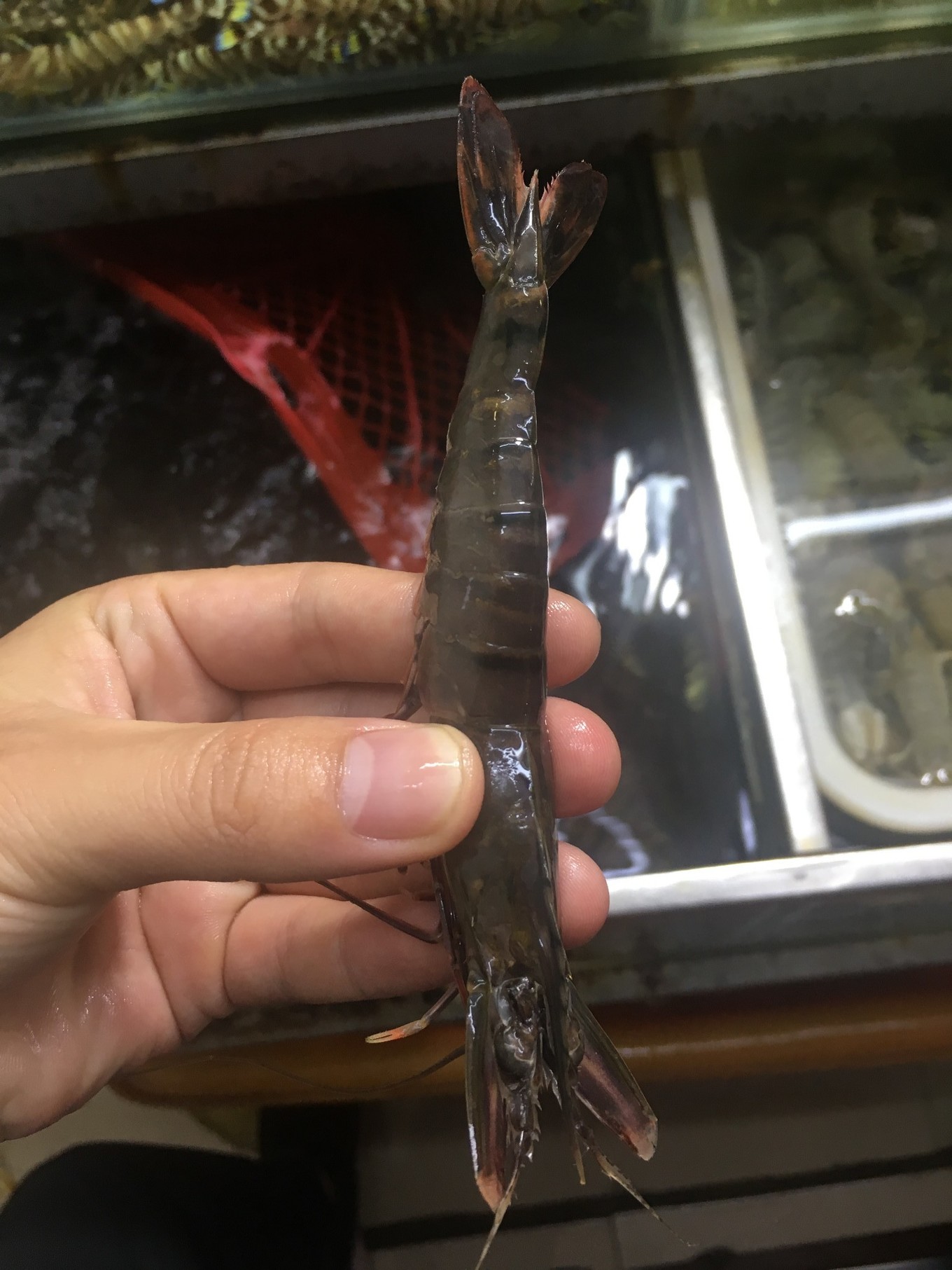 三亚旅游吃海鲜防宰攻略,三亚蜈支洲岛吃海鲜攻略