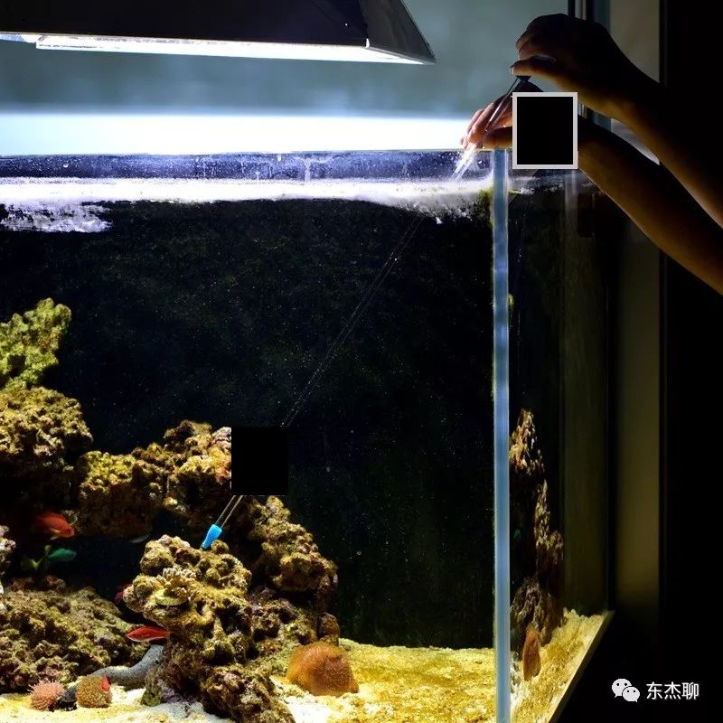 有效除藻方法,除藻最好最快的方法