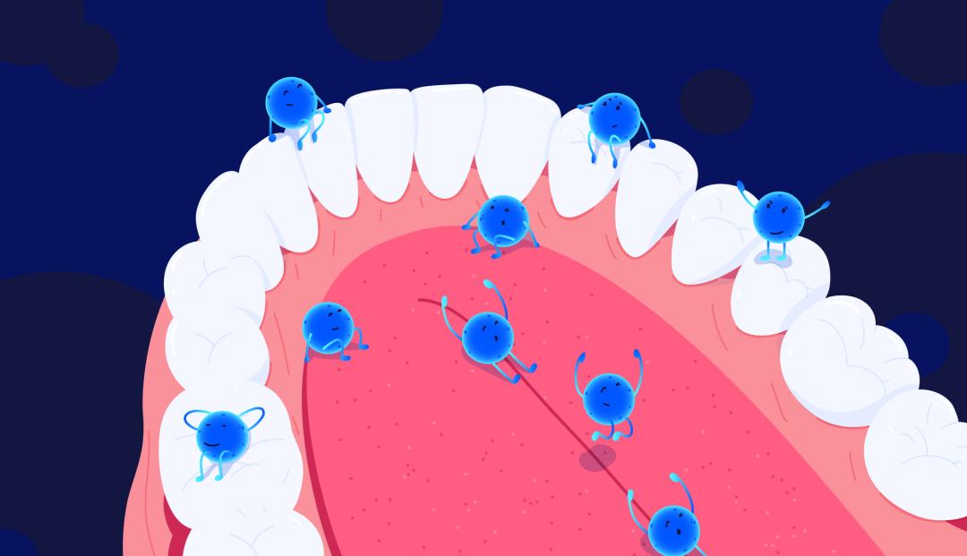 不要夸大肠道菌群对健康的作用,肠道菌群会影响口腔吗