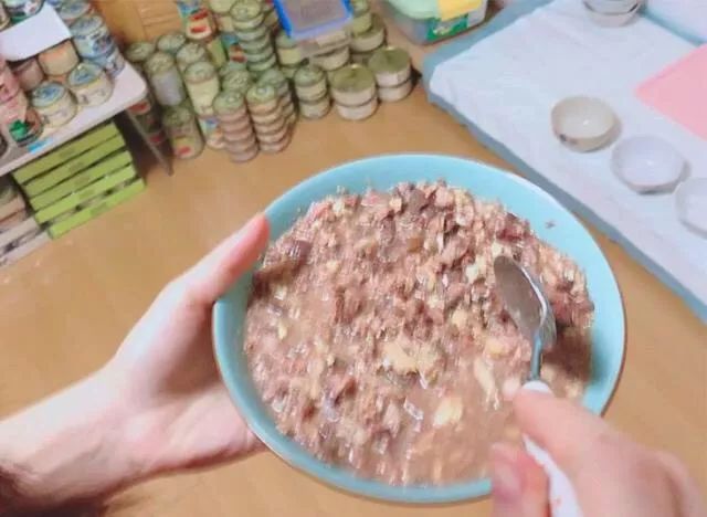 猫咪洗澡前驱虫还是洗澡后驱虫,猫咪体外驱虫和体内驱虫多久一次