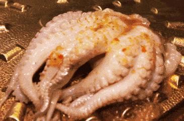 十年不吃不动还能存活的动物,可能还幸存的十大动物