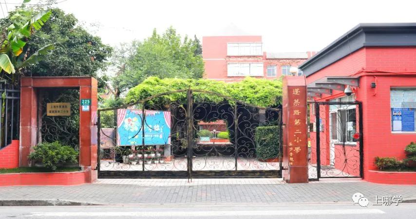 上海这个区没有超级名校，竞争小！小学不在本区读，进不了好初中