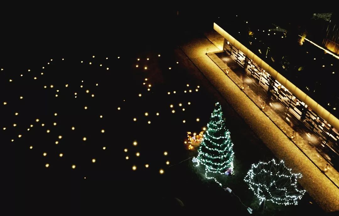 杭州原研斋茶园民宿,杭州茶园民宿推荐