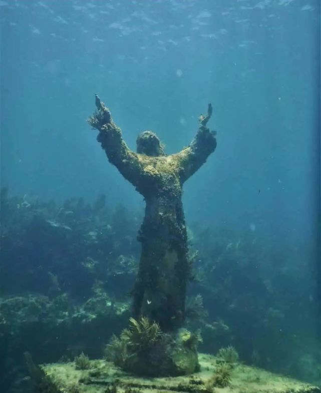 自然奇观水下世界,水下世界非常神秘而美丽