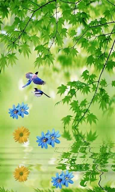 真用功还是假努力,真努力和假努力