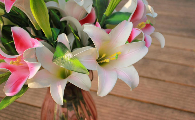 香水百合怎么养图片视频讲解,香水百合开花阳台弥漫花香