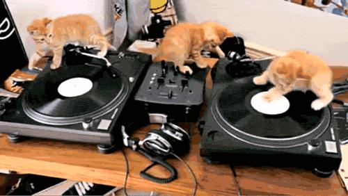 现在的数码时代,数码时代的缺点