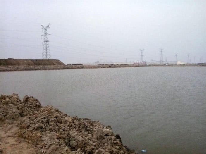 它一生只活一年，我们叫它“扔巴鱼”