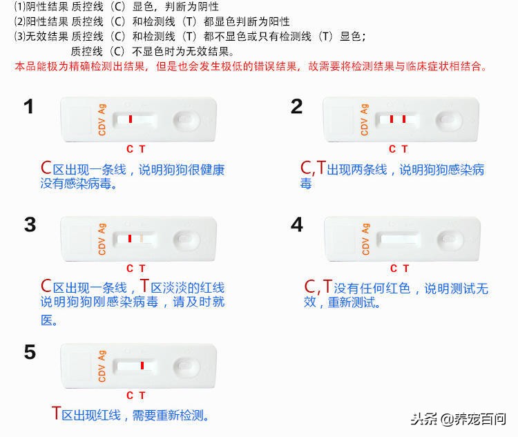 治疗狗狗拉稀呕吐的最好方法,狗狗喂了螃蟹后呕吐拉肚子