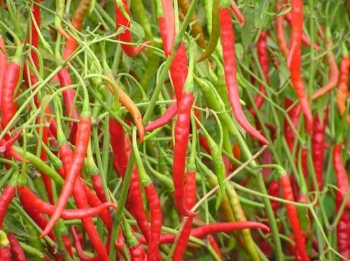 眼一生加盟,眼一生