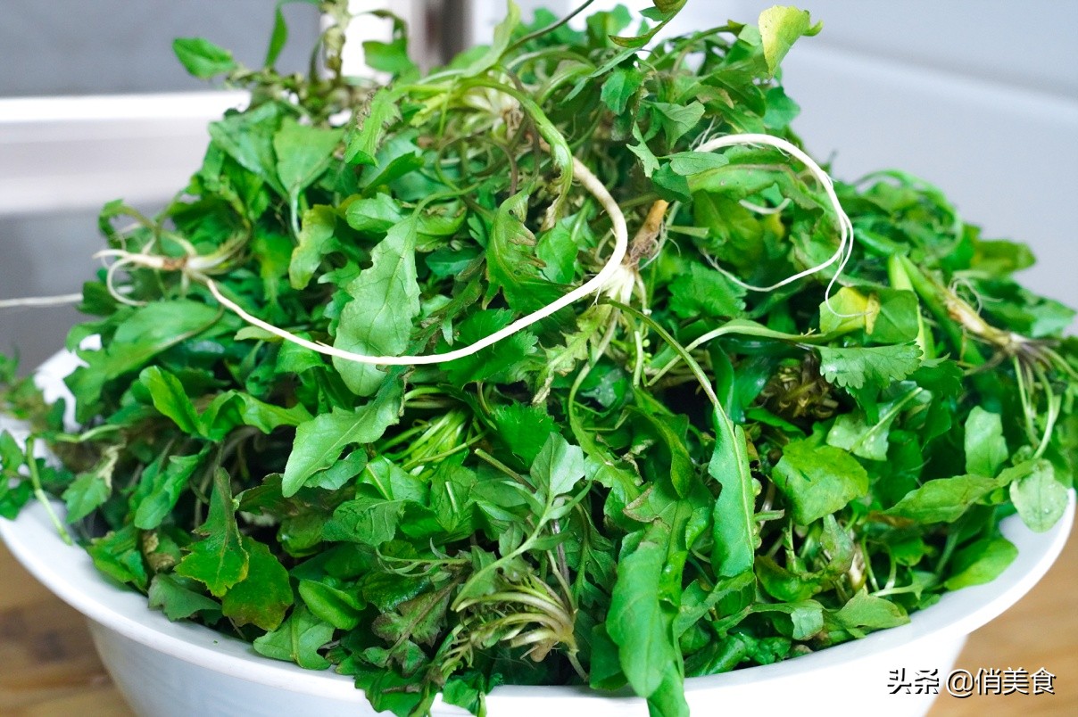 用万能饺子馅调制蔬菜肉馅,调万能饺子馅口诀