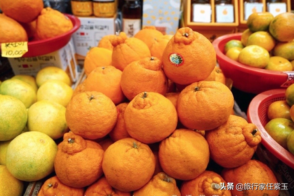 济州岛免签可以去韩国其他地方吗,济州岛免签自由行攻略