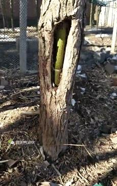 搞笑动图gif笑到肚子疼,搞笑动图gif图片