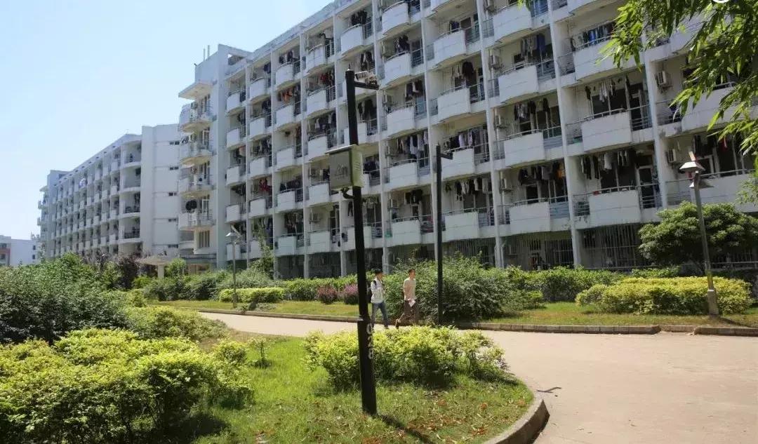 苏州大学文正学院专转本2020,苏州大学文正学院专转本人力资源