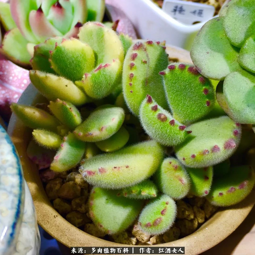 记录走过的美景留下美好的回忆,记录走过的每一段美好时光