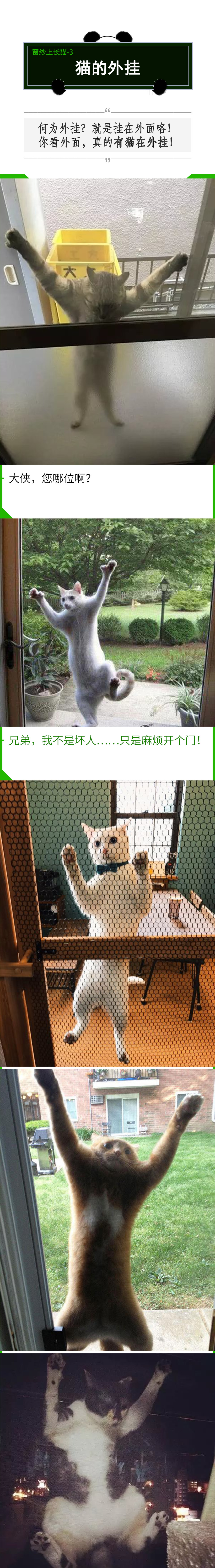 有纱窗为什么家里总有蚊子,有防盗网的房间窗户防蚊纱窗