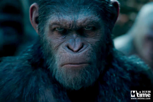 时光早报：加朵提醒神女2预告要来了