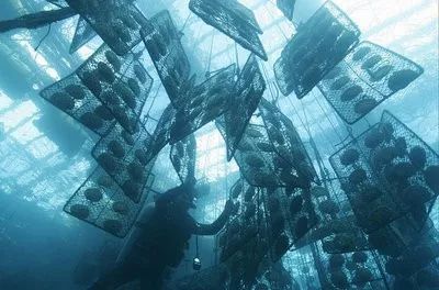 戴上珍珠发夹就是小仙女,当女人戴上眼镜