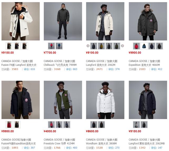 满大街都是加拿大鹅,满街加拿大鹅