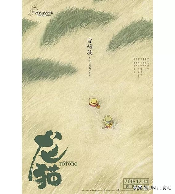 宫崎骏老爷爷笔下经典形象龙猫的原型居然是个鸟，WTF+问号脸