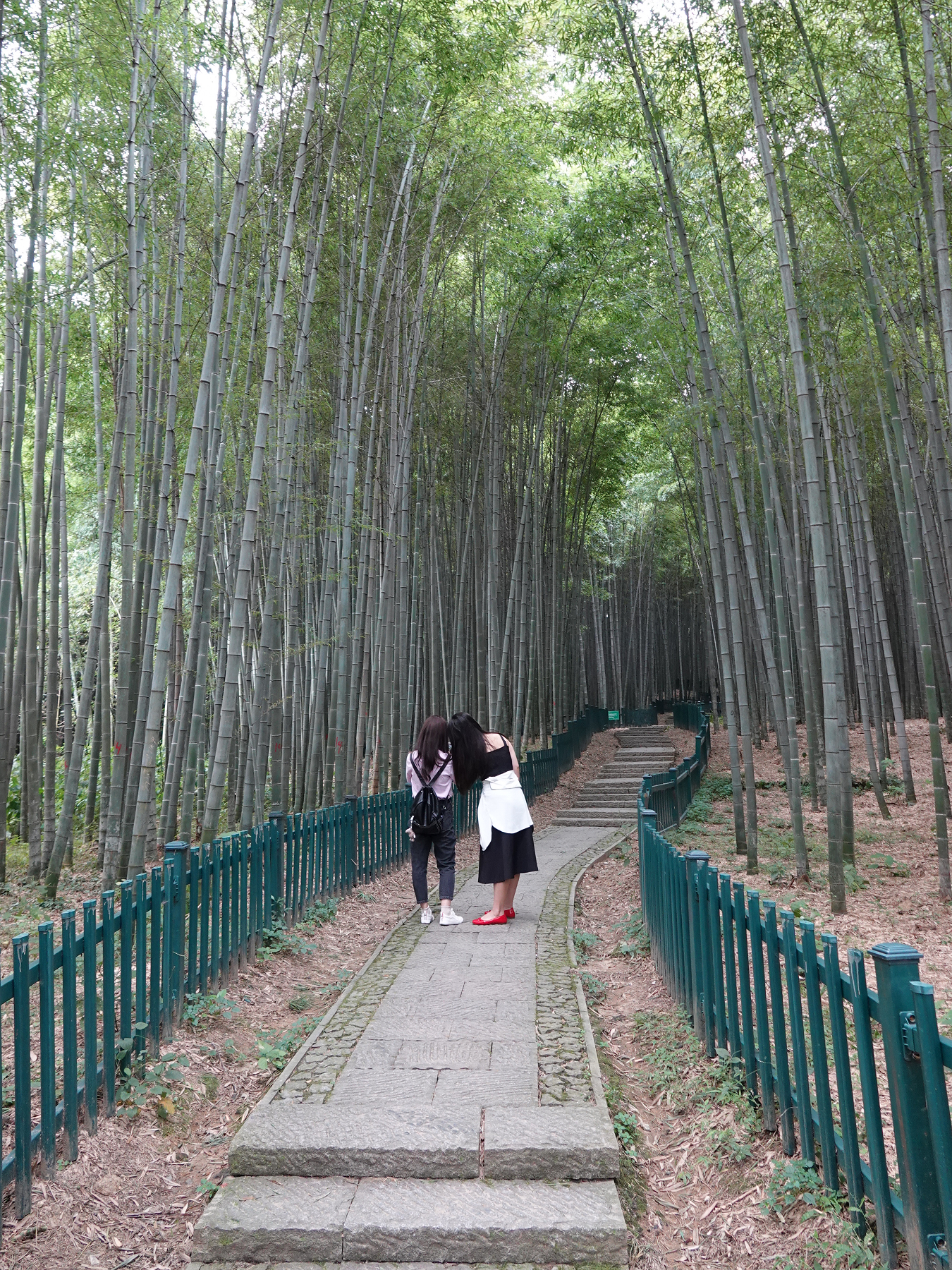 青芝坞民宿离西湖有多远,杭州青芝坞民宿排名榜