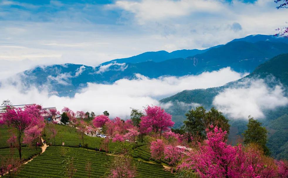 云南淡季旅游线路推荐,云南春季旅行推荐