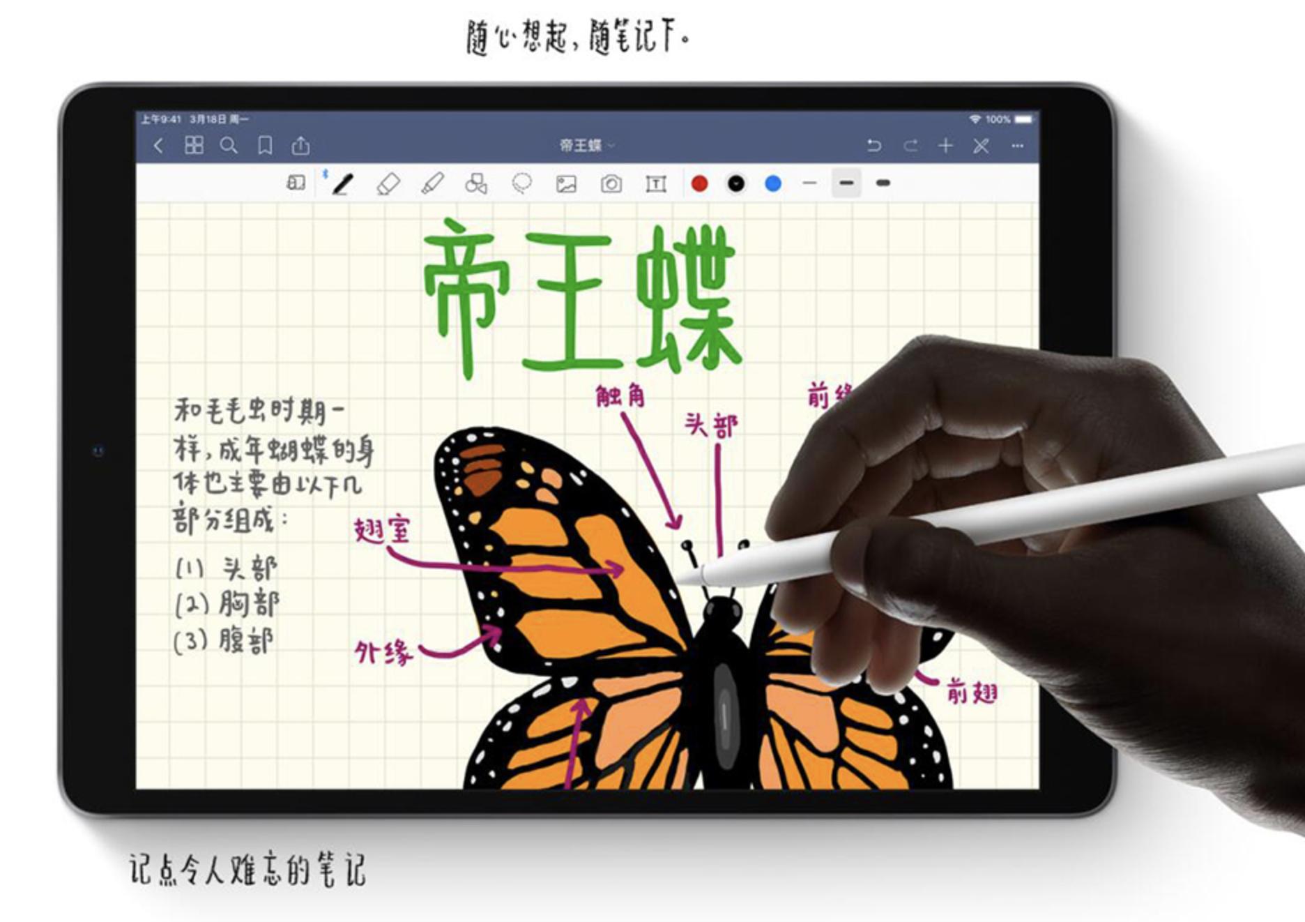ipad最全配置对比,ipad9ipadmini6选购