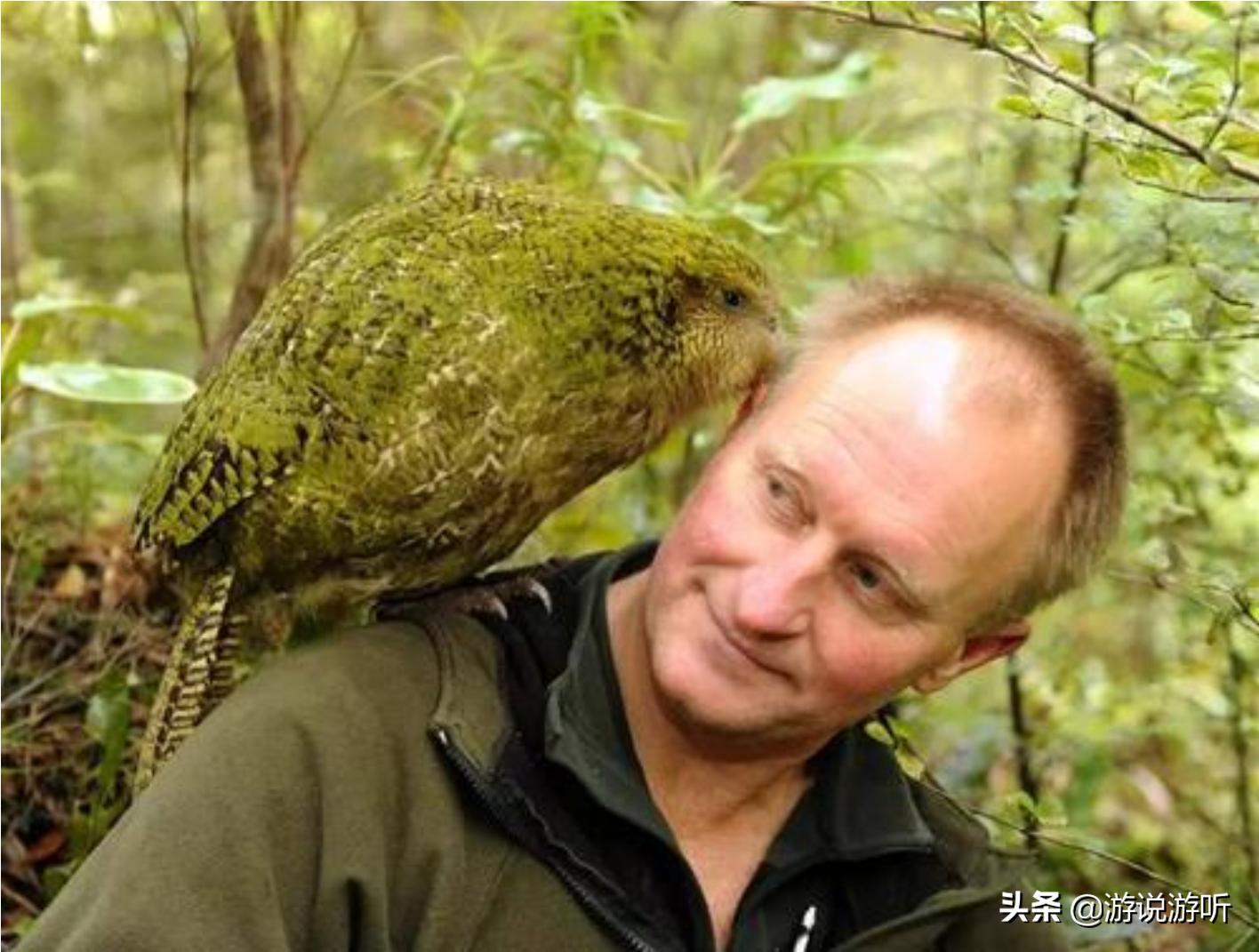 一句话看世界,看世界的句子经典语录