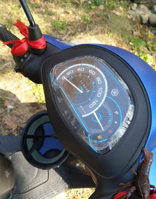 雅马哈踏板车哪款最值得入手,雅马哈8800油耗