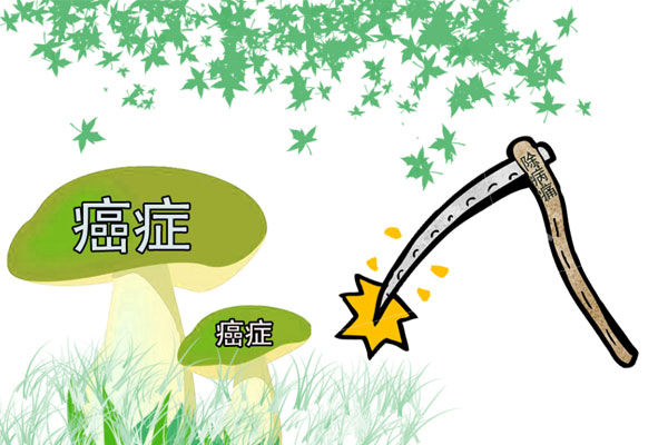 《细胞》子刊发布研究：Omega-3能杀死肿瘤，哪些食物可以补充？