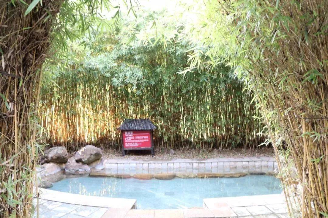 倒数狂欢夜,清远森波拉奇妙世界主题乐园住宿