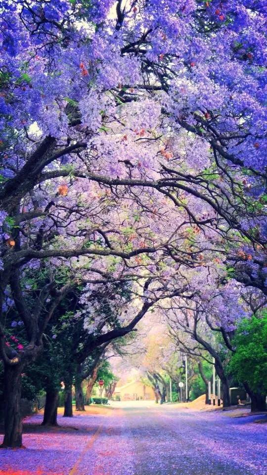 100个惊艳的美人盘点,中国最美的50个美人