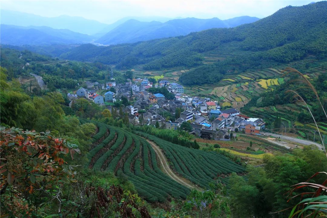 宁海休闲旅游,冬天宁海周末一日游最佳去处