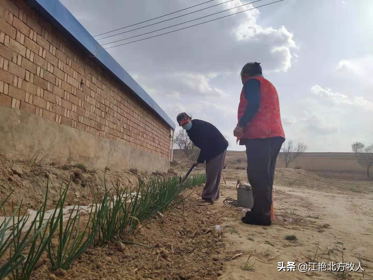 靠养殖到底能不能致富?江艳实话实说,再听听她的致富经