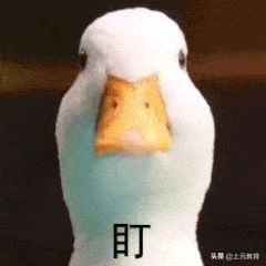 考试解题必备的十大技巧,考试前的准备和答题技巧