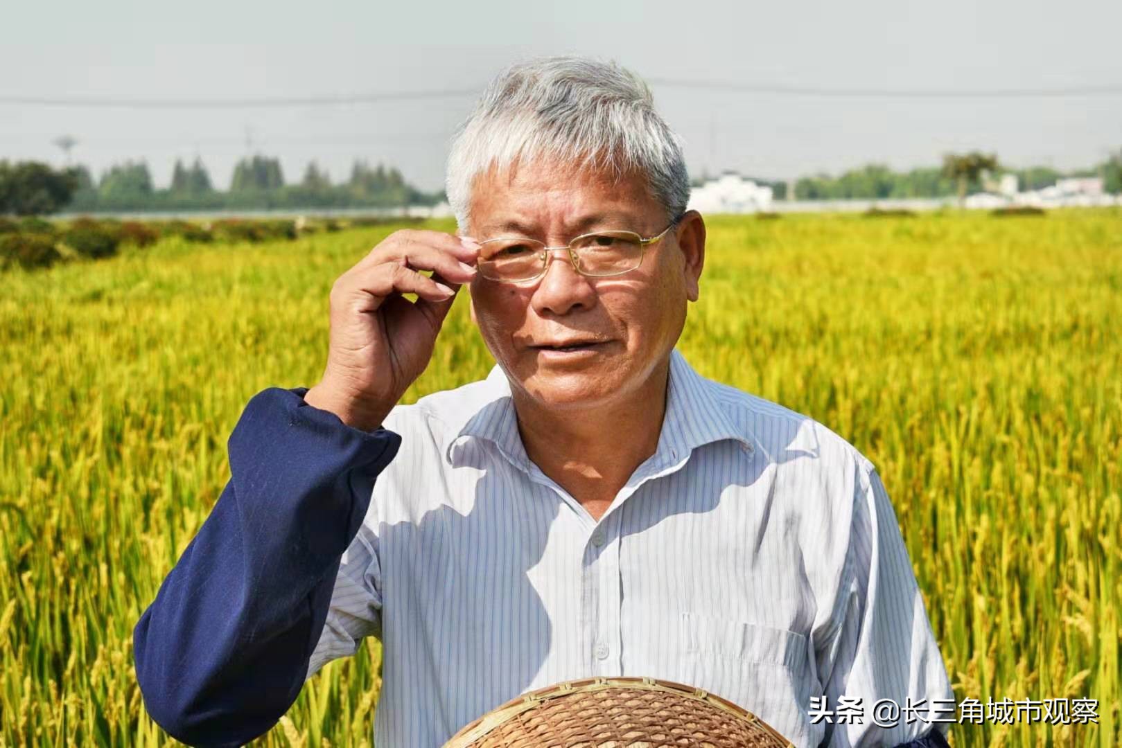 新时代最美常熟人系列报道之一：水稻育种专家端木银熙