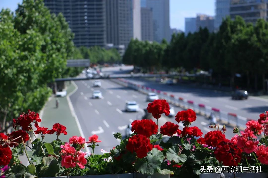 西安现在有滴滴打车吗,西安现在可以滴滴打车吗