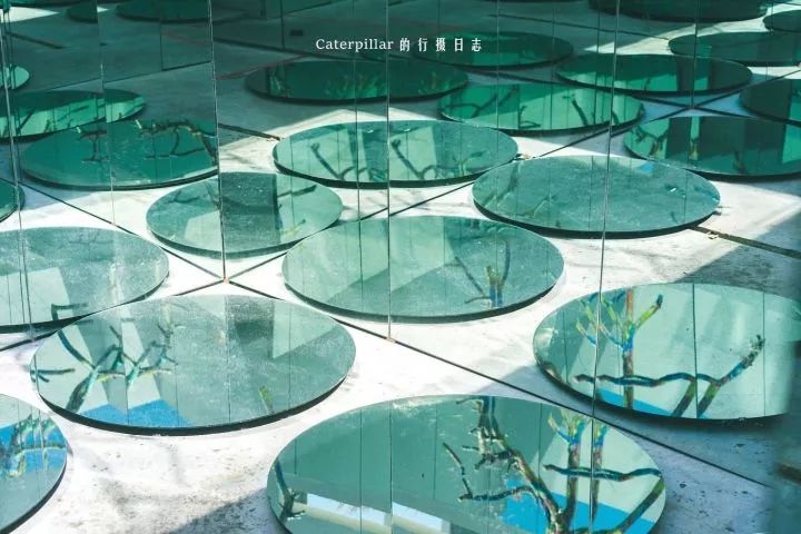 广州小众自驾,广州10个必去打卡的地方