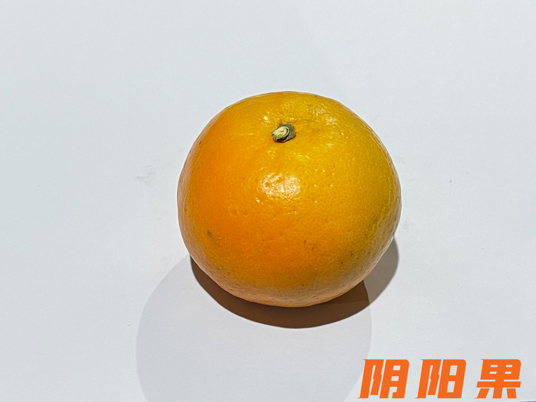 橙子干水了,橙子里面干水是什么原因