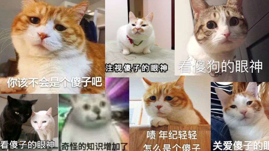 淘宝买的低价游戏,淘宝上卖十几块的游戏合集